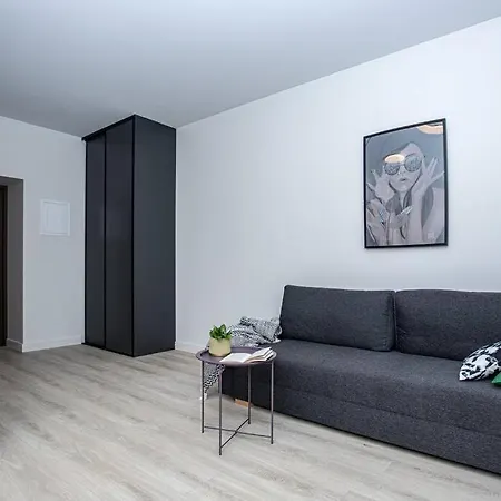 Spacious 1 Flat Near Public Transportation Apartment *